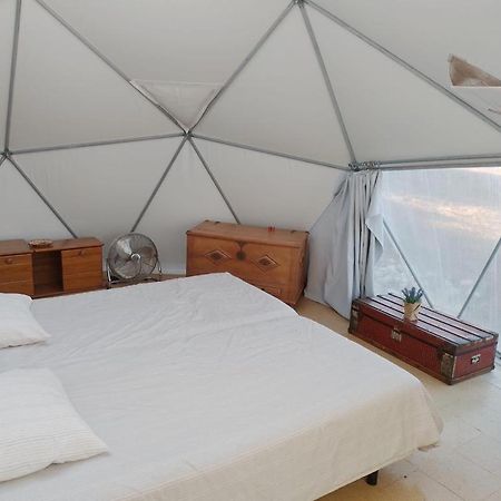 Forest Domes Setubal Luaran gambar