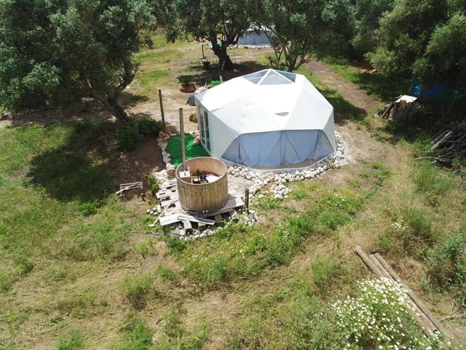 Forest Domes Setubal Luaran gambar