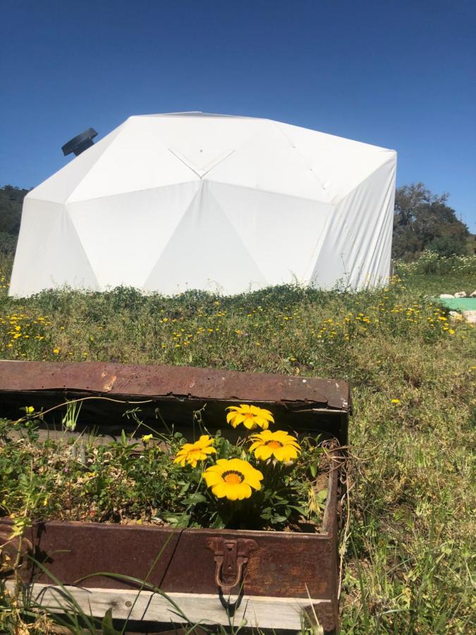 Forest Domes Setubal Luaran gambar