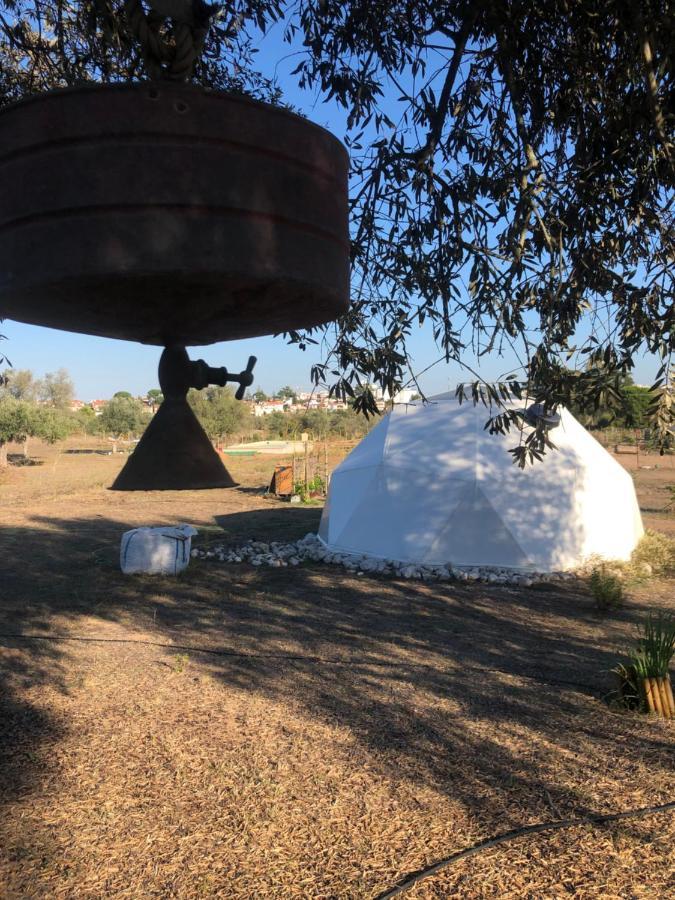 Forest Domes Setubal Luaran gambar