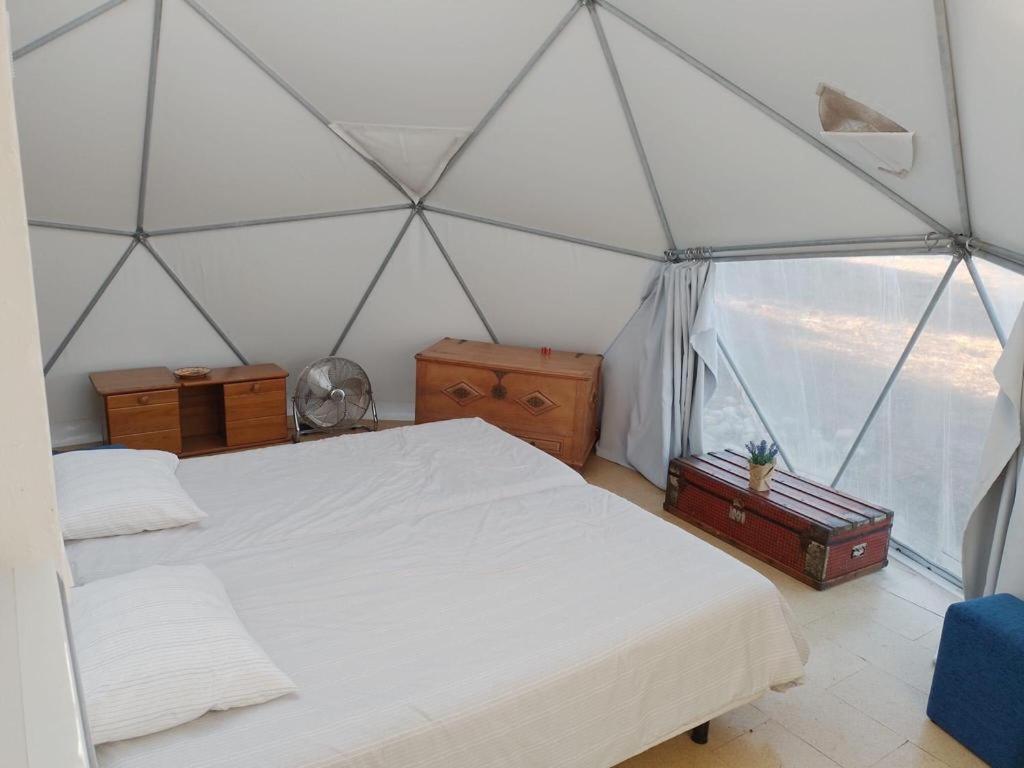 Forest Domes Setubal Luaran gambar