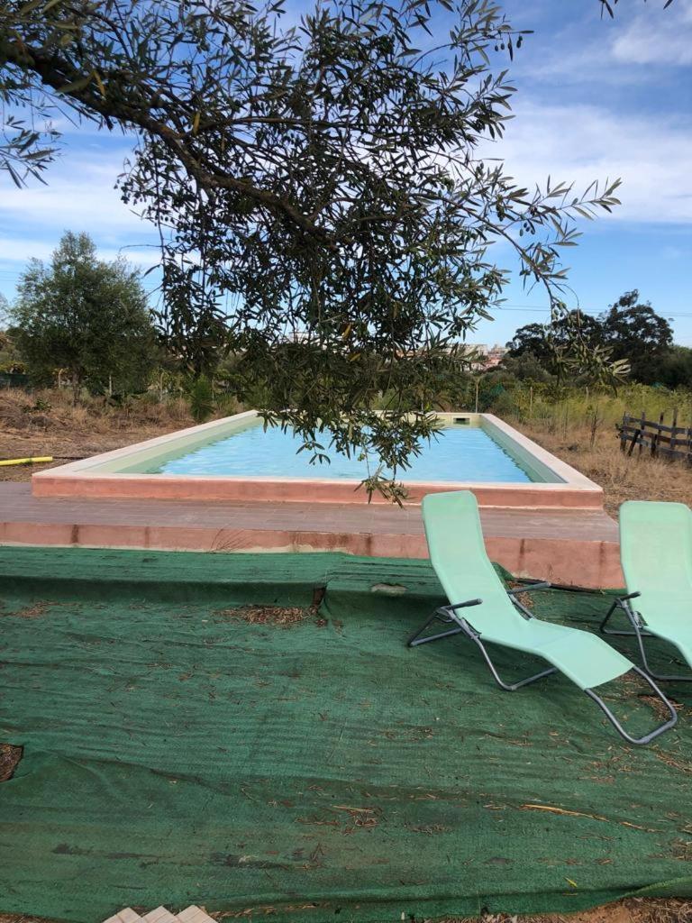 Forest Domes Setubal Luaran gambar